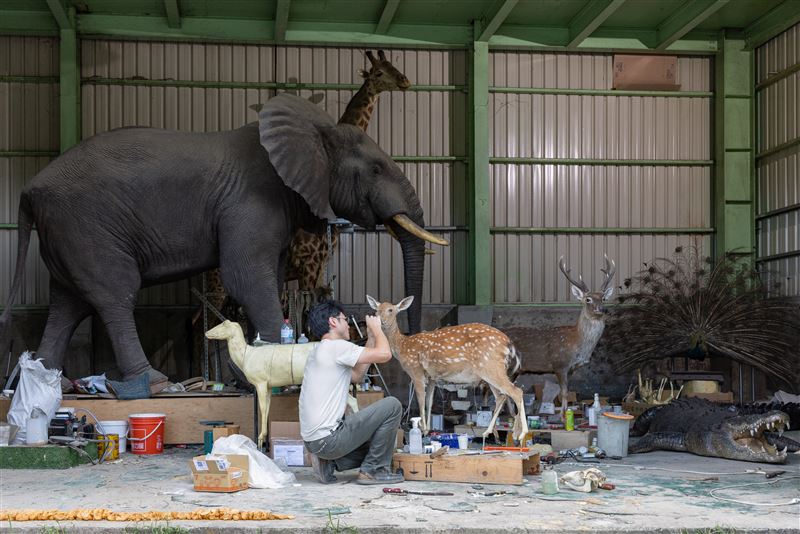 《匠人魂》第58集「一個人的動物園」。（圖／文化總會提供）