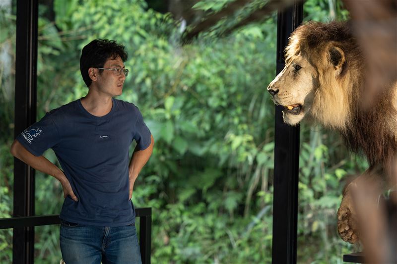 標本師黃雯杰與獅子標本。（圖／文化總會提供）