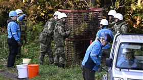 日本派出自衛隊，協助放置捕熊陷阱。（圖／路透社／達志影像）