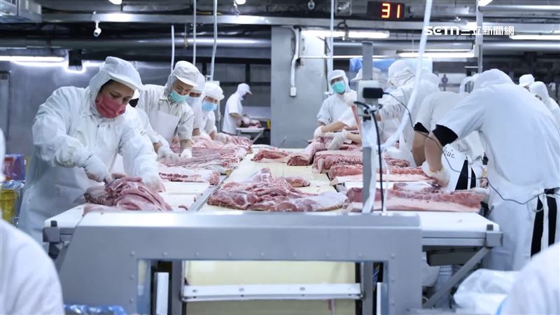 中央宣布6日中午12點「解除」豬隻禁運之限令