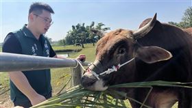 李宗翰,王秋淑,台南市,南投,黃牛,老黃牛（圖／翻攝李宗翰議員臉書）