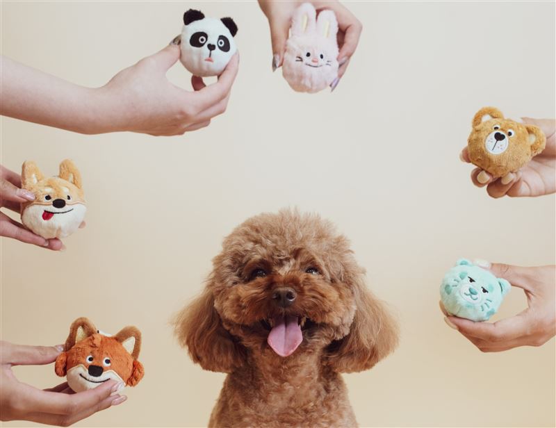 倍力寵物「啾啾球盲盒」，外觀採親膚絨毛設計，內藏發聲球。（圖／品牌業者提供）