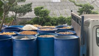 未蒸煮廚餘餵豬！新北養豬場挨罰206萬