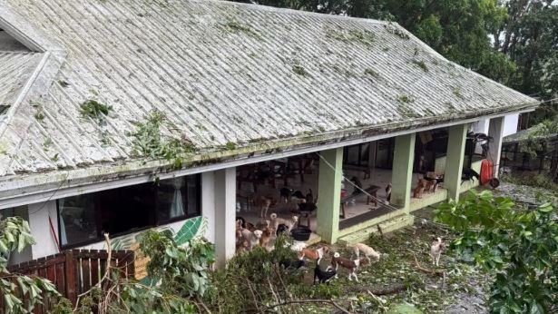 颱風海鷗釀188死 菲律賓宣布全國災難狀態