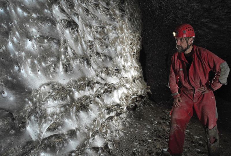羅馬尼亞研究團隊在希臘邊境發現，面積超過100平方公尺的超巨大蜘蛛網。（圖／翻攝自Subterranean Biology）