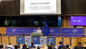 副總統蕭美琴在IPAC布魯塞爾峰會，向全球立法者大會發表演說。（圖／翻攝IPAC官方社群）