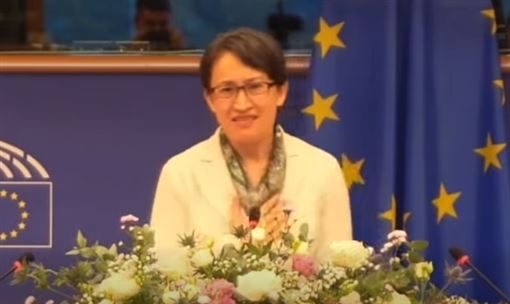 蕭美琴赴歐洲議會演說！綠委大讚對抗威權