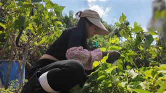 家寧蹲地摘菜。（圖／翻攝自YouTube）