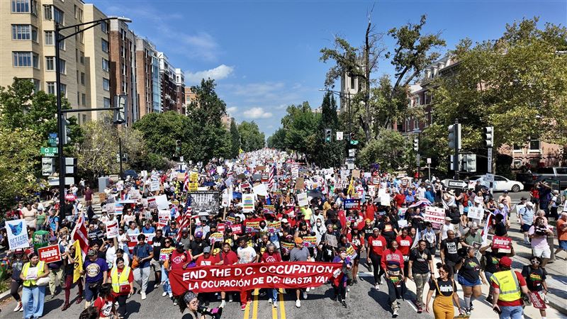 美國華府９月的反國民兵示威。（圖／翻攝自X平台 @PenguinSix）