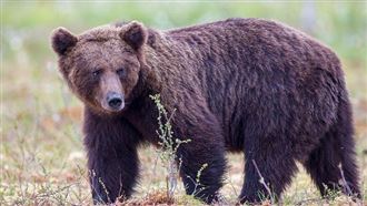 熊闖日本JR車站　山形新幹線部分區間停駛