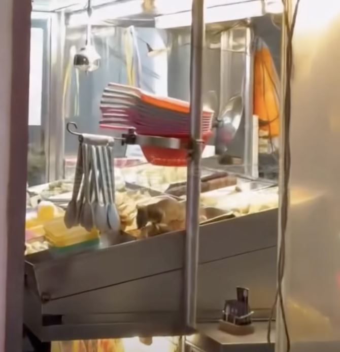 老鼠爬上鹹酥雞大啖米腸，超噁畫面曝光引起網友議論。（圖／翻攝黑色豪門企業）