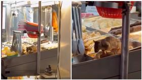 嘉義市衛生局,衛生局,嘉義市,老鼠,鹹酥雞,米腸,攤車（圖／翻攝黑色豪門企業）