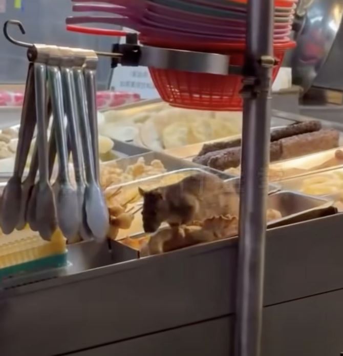 鹹酥雞攤業者PO文道歉，8日已經找除蟲滅鼠業者到場清消，暫停營業一天。（圖／翻攝黑色豪門企業）