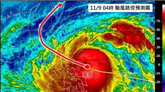 勇敢鳳凰決定硬幹！專家：有機會死在台灣