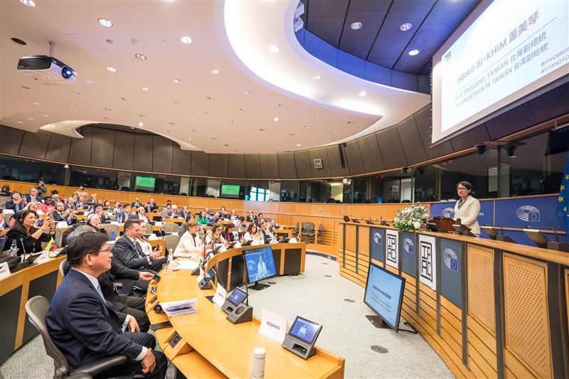 林佳龍吐心聲：當蕭美琴副總統站上歐洲議會的講台上，很多人都哭了。（圖／翻攝自林佳龍臉書）