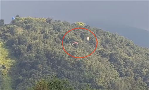 驚險畫面曝！飛行傘玩家空中交纏　墜樹林