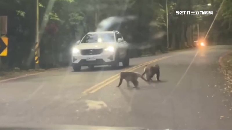 2歲童遭鎖車內！警急救援遇山道猴子擋路