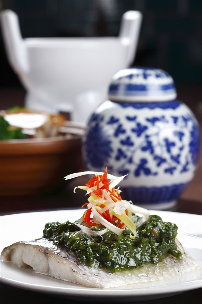 以深受宋代文人喜愛的名菜「金齏玉膾」為靈感，選用新鮮鱸魚切片清蒸，搭配鹹香爽脆的漬菜，重現千年前的清雅風味。（圖／飯店旅宿業者提供）