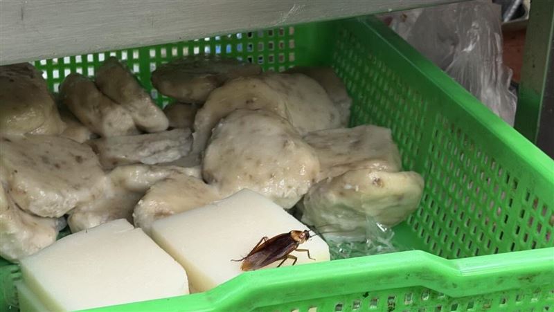 第二市場某排隊名店爆食安，有網友目擊蟑螂爬在蘿蔔糕上（圖／翻攝Threads @j08260433）