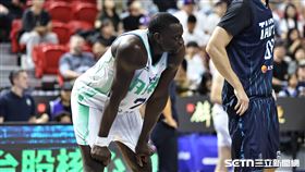 PLG例行賽，洋基工程洋將阿拉薩犯滿畢業。（圖／記者劉彥池攝影）