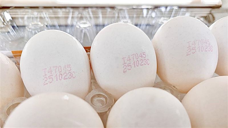 是否買到芬普尼雞蛋？一圖看懂3步驟自保