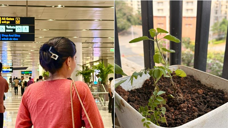 帶盆栽搭機！安檢一看強硬轉尊崇　放行了