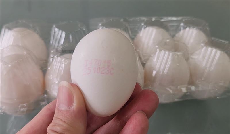 彰化某畜牧場生產的4批雞蛋被驗出有芬普尼代謝物殘留，初估有15萬顆雞蛋待回收。(圖／翻攝畫面)