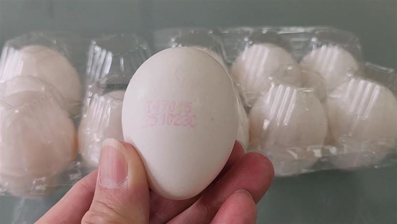 彰化某牧場生產的4批雞蛋，被驗出芬普尼含量不符合規定，約有15萬顆蛋待回收。(圖／翻攝畫面)
