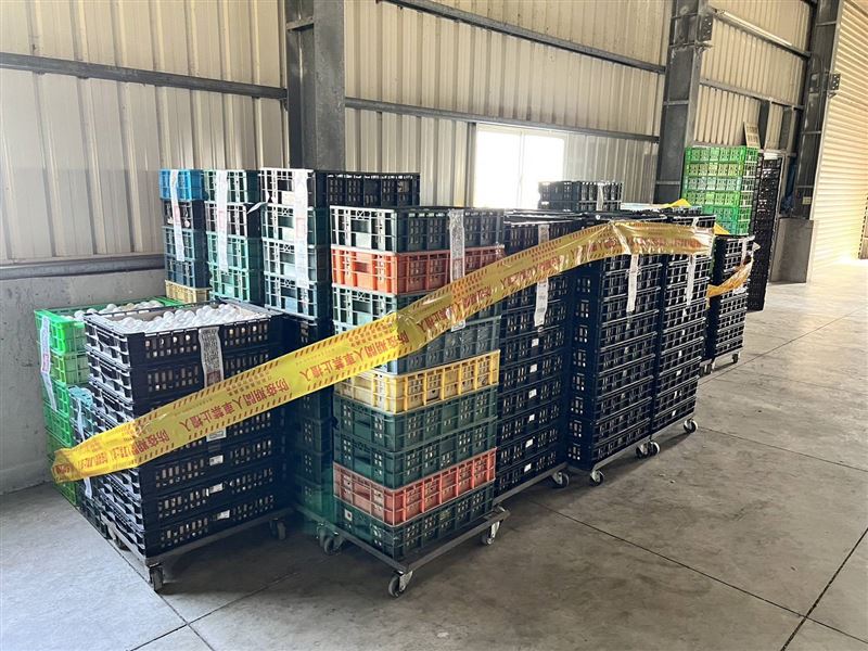 由於多數蛋透過大型通路販售，追回速度相對快速，但散裝蛋流向複雜，數量約3萬顆，目前正逐一追溯。(圖／翻攝畫面)