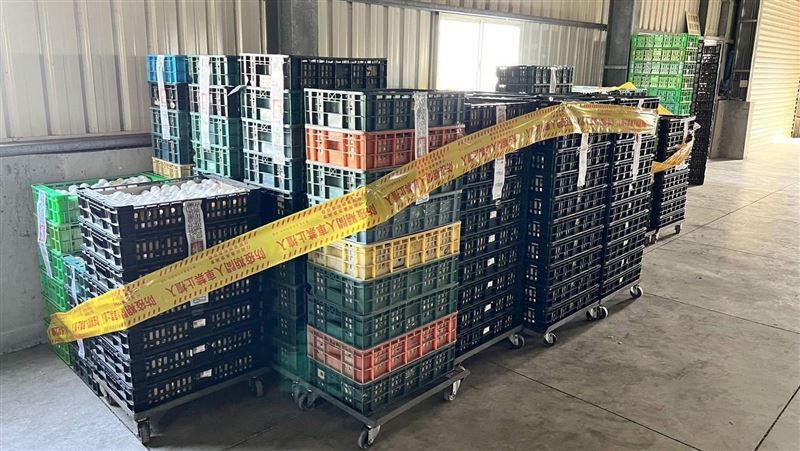 15萬顆雞蛋含芬普尼 彰畜牧場裁罰金額曝