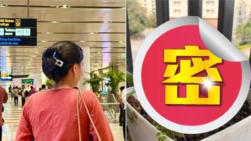 帶盆栽搭機！安檢一看強硬轉尊崇　放行了