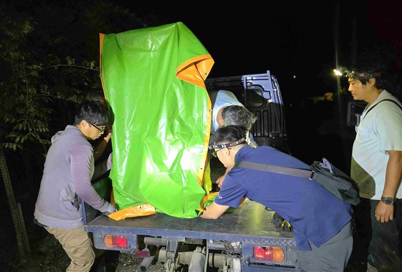 林保署人員於昨晚9時46分成功捕獲一隻體重僅12.3公斤、營養不良的幼年公熊。（圖／林保署花蓮分署提供）