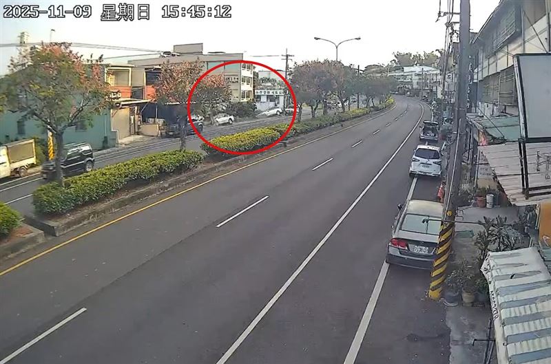 陳姓老翁開車開到一半，突然偏移車道，失控擦撞路邊的賓士車，接著翻落邊坡旁的荔枝園。（圖／翻攝自Threads @joannah0217）