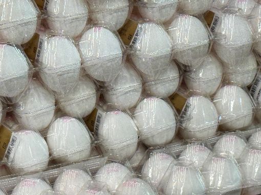 新／毒蛋把關現漏洞！縣府認錯將懲處追究