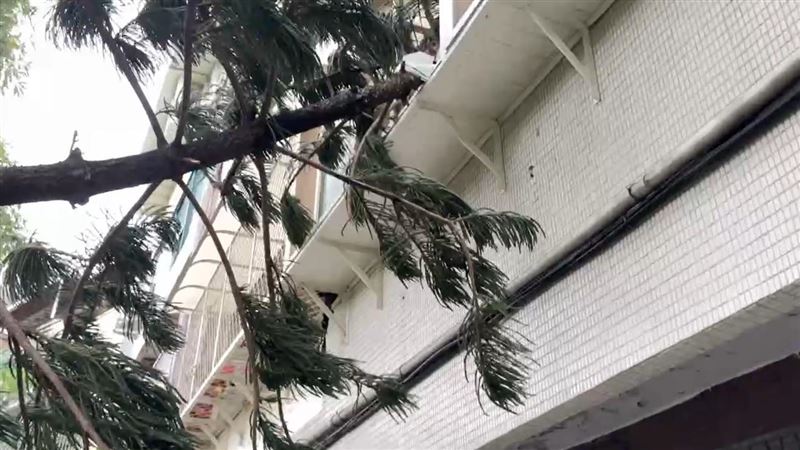 鳳凰颱風逼近，財政部今啟動租金減免，全台國有土地承租戶若受災，可依規定申請租金減免。國產署啟動颱風災後措施，協助承租人修復家園並加速相關文件作業。（圖／翻攝畫面）