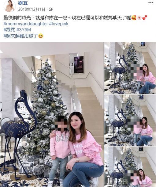 世人忘不了劉真！她曾曝光與辛龍疼女兒往事、也為親愛女讀詩催淚。（圖／翻攝自劉真臉書）