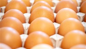 雞蛋。（示意圖／PIXABAY）