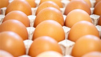 吃毒蛋恐傷肝腎？醫揭密 3類人是高危險群