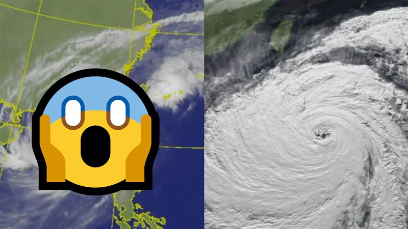 鳳凰颱風大瘦身！網曬對比照：怎變小麻雀