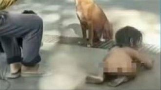 路上驚見「野人小孩」裸體爬行　畫面曝光