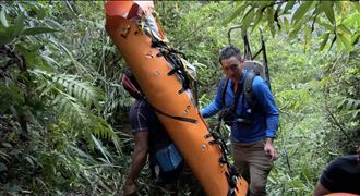 男墜谷亡遭虎頭蜂纏身　消防噴殺蟲劑驅離
