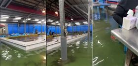 宜蘭釣蝦場淹水如釣池　網友喊沈浸式釣蝦（圖／翻攝Threads)