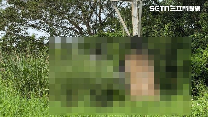 桃園男子陳屍環保公園電塔旁。（圖／翻攝畫面）