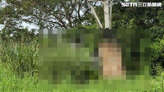 桃園環保公園傳命案　男子屍僵陳屍電塔旁