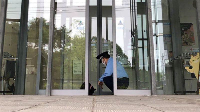 黑貓小建與美術館警衛馬屋原定雄（圖／翻攝自X平台 @bijutsu1）