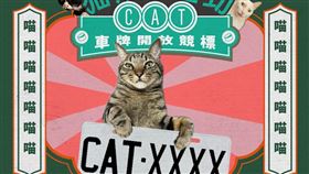 貓奴搶「CAT-8888」車牌。（圖／取自交通部）