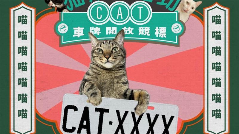 貓奴好狂！車牌「CAT-8888」57.6萬標出