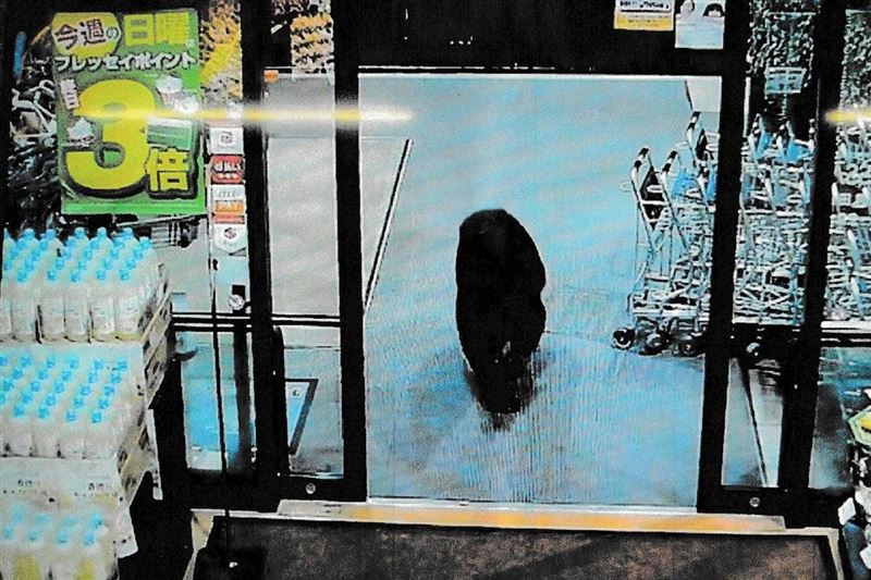 黑熊於今年10月初闖入日本超商。（圖／翻攝自X平台 @Independent）