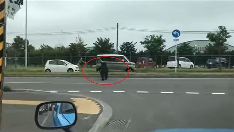 過往就有熊誤入人類社會的案例，但近年來情況日益嚴重（圖／翻攝畫面）