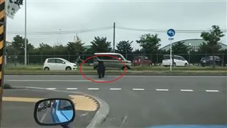 開門和熊四目相交　下秒血盆大口就在耳邊